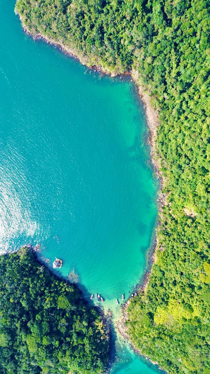 Vista aérea vertical da enseada cercada pela Mata Atlântica